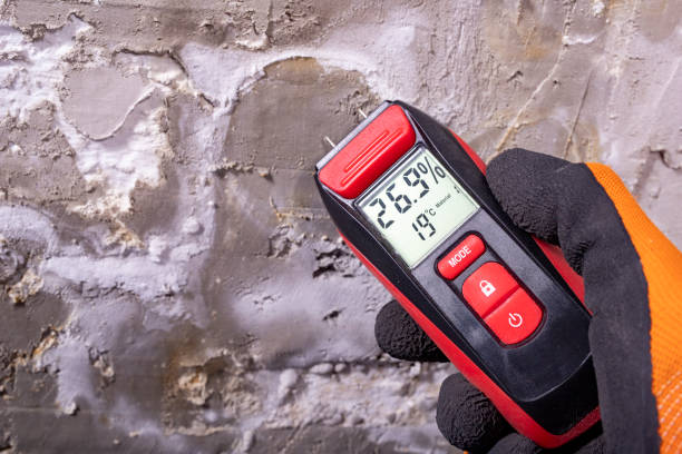 Certified Mold Removal in Wolfe City, TX